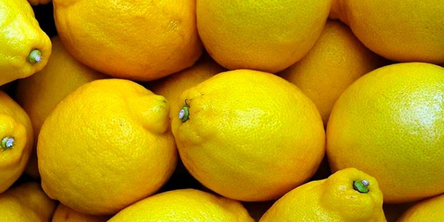 Dubai'ye ihraç edilecek limonlarda pestisit çıktı