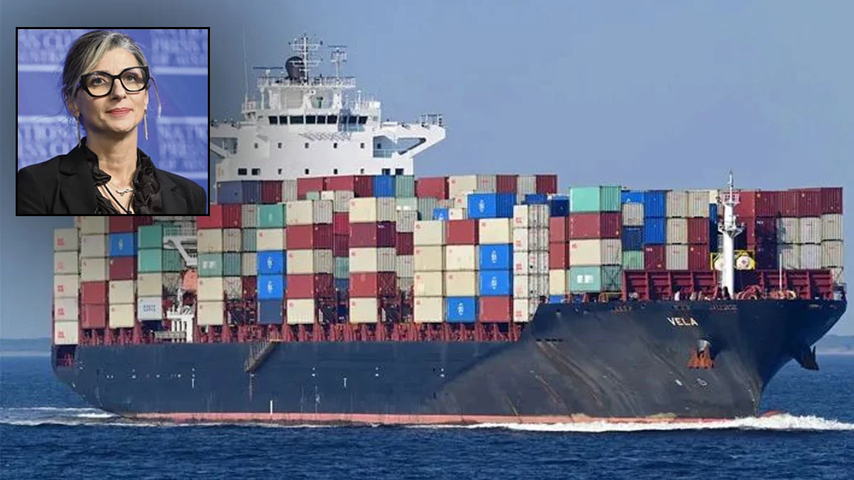 BM Raportörü'den Türkiye’ye çağrı: İsrail’e silah taşıyan gemiyi durdurun
