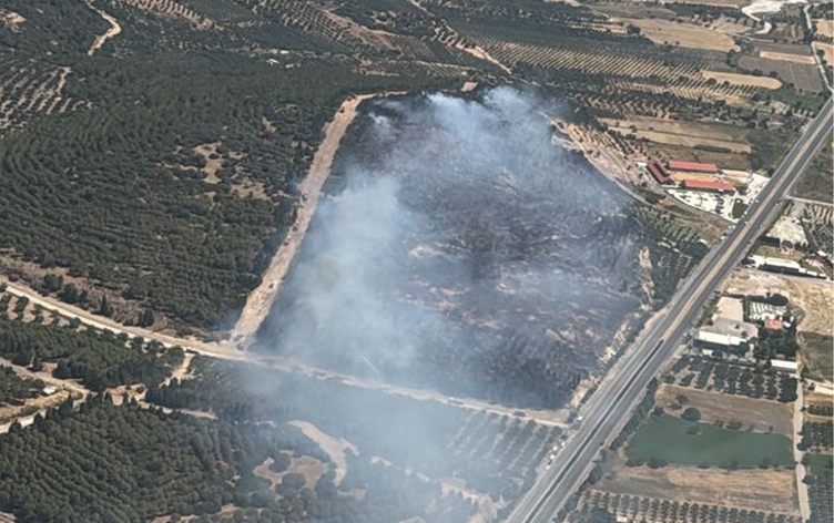 İzmir'de orman yangını: Havadan ve karadan müdahale ediliyor