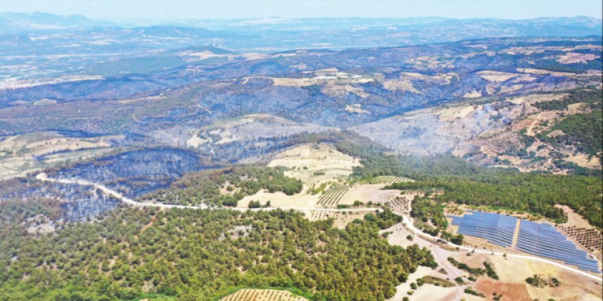 Ormanı yakan öğretmenmiş