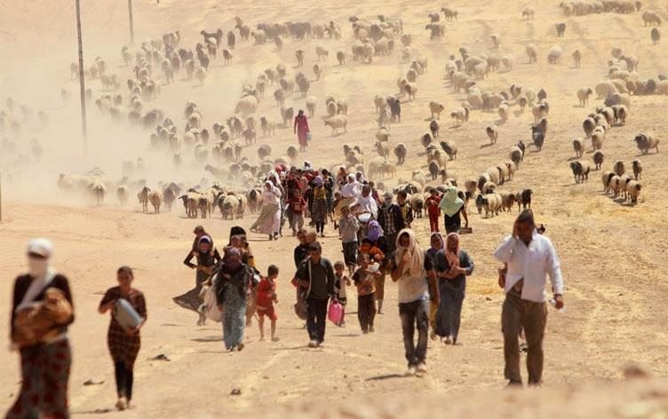 IŞİD’in Ezidi Kürtlere yönelik soykırımı 11. Yılında: Hâlâ 3 bin kişi kayıp, binlerce aile mülteci hayatı yaşıyor