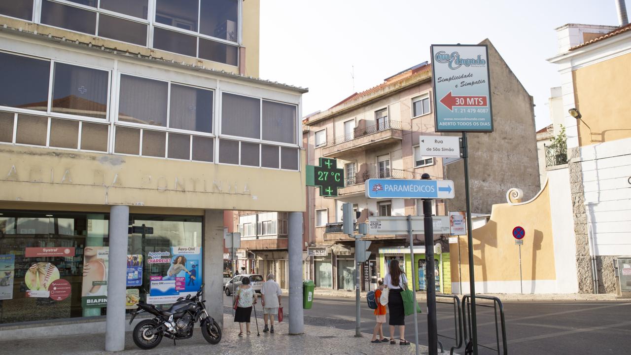 Portekiz'de aşırı sıcaklar nedeniyle son bir haftada 264 kişi öldü