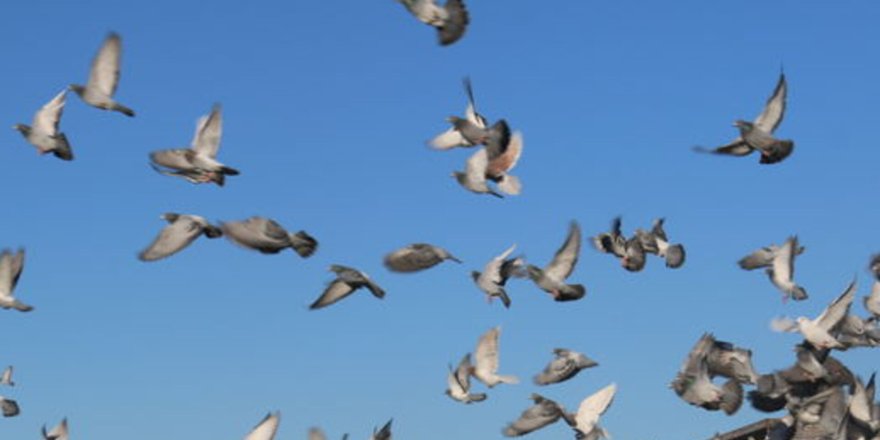 12 sene sonra tekrar "âkiller" toplantısında
