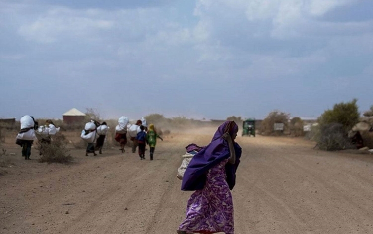 İklim göçü: Son 10 yılda 250 milyon kişi yerinden edildi