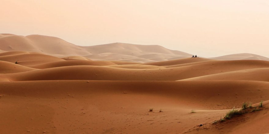 Zihinsel Bir Çöl Manzarası
