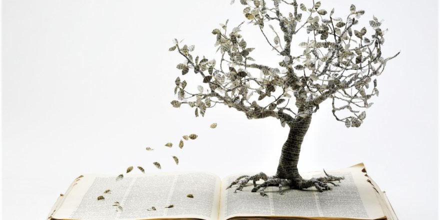 Siyaset - İrfan İlişkisi Üzerine Zeki Savaş ile Söyleşi -2