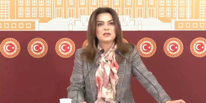 "TBMM'nin acilen ‘Barış Yasası’ çıkartması gerekmektedir"