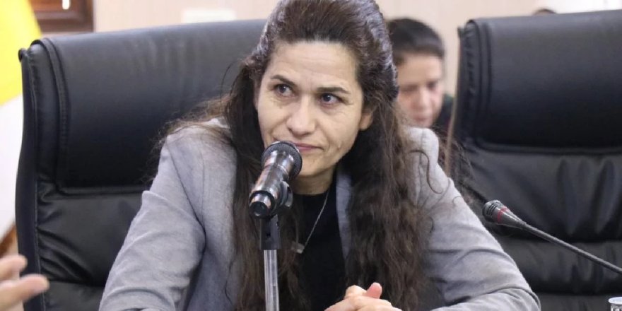 İlham Ahmed: Suriye anayasasının yazımına katılacağız