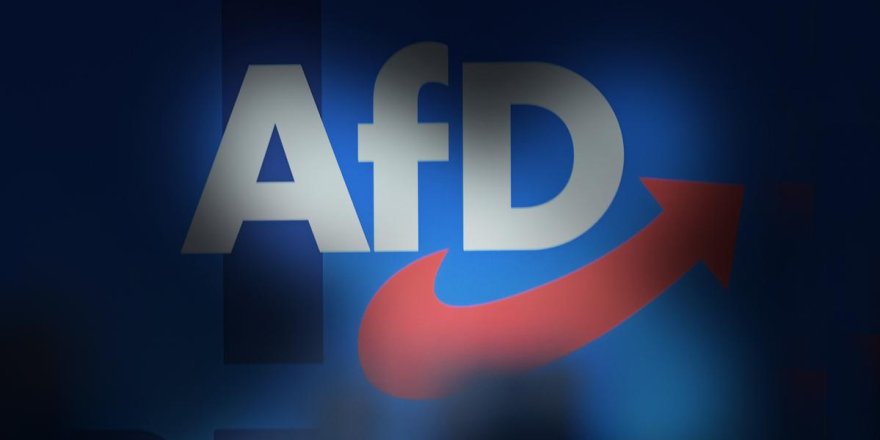 Almanya'da AfD'nin yükselişi Sürüyor