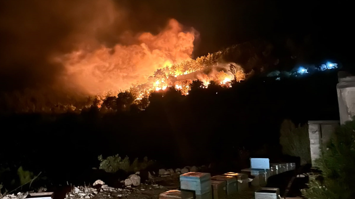 Adana Kozan’da orman yangını: Yerleşim yerleri tahliye edildi