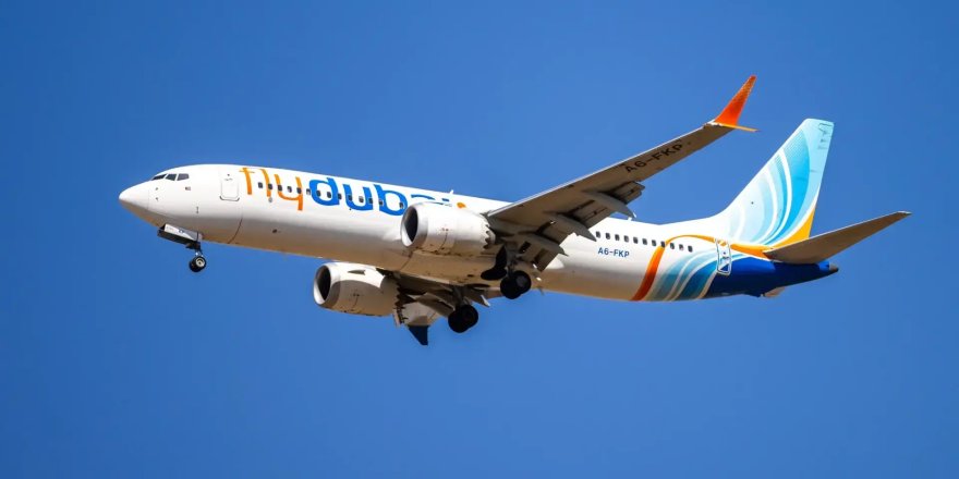 Yardımcı pilot kaptan pilotu bıçaklayarak uçağı düşürmeye çalıştı