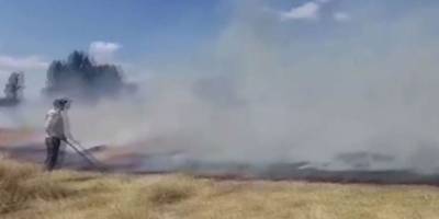 Li Agiriyê şewat: Giyayê cotkaran şewitî