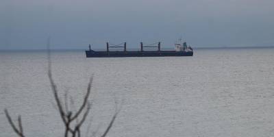 Arjantin'de maymun çiçeği alarmı: Yük gemisi karantinaya alındı