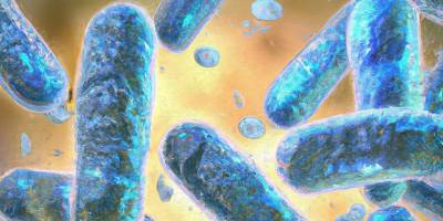 Bilim İnsanları yeni bir hücre keşfetti: 100 yıl önce tahmin edilmişti