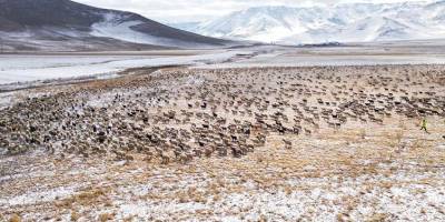 Li Wanê ji nişka ve berf bariya û rêncberan tengasî kişand