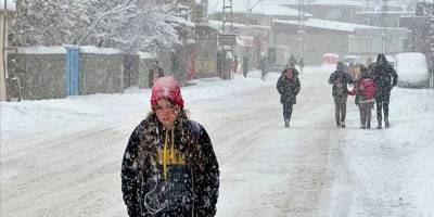 Van ve Bitlis'te 152 yerleşim yerinin yolu kardan kapandı