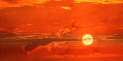 Copernicus uyarıyor: 2024'ün ardından küresel ısınmada yeni rekorlar kapıda