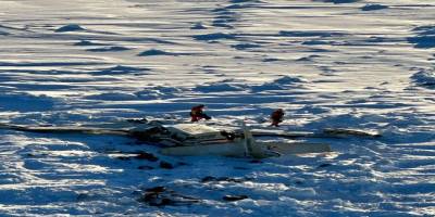 Alaska'da kaybolan uçağın enkazına ulaşıldı