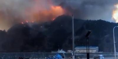 Japonya'da orman yangını: 2 bin kişi için tahliye emri verildi