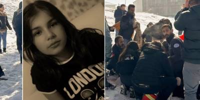 Köpek saldırısı sonrası Yüksekova Belediyesi'ne soruşturma