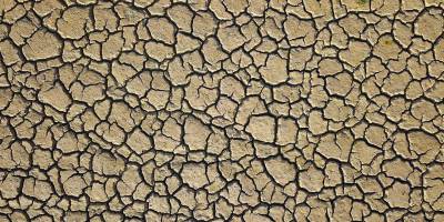 Rapor: Dünyada her 5 kişiden 1'i iklim değişikliğinin etkilerini hissediyor