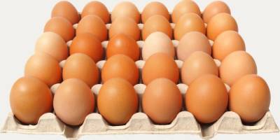 Yumurta fiyatları dört ayda yüzde 100 arttı: 30'lu yumurtanın fiyatı 250 lirayı buldu