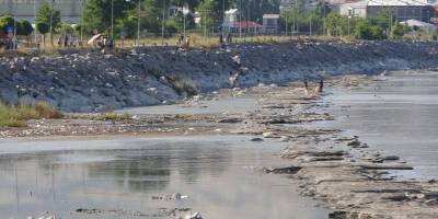 "Van Gölü’nde kirlilik yüzünden canlı popülasyonu yok oluyor"