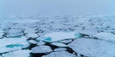 Arktik buz örtüsü alarm veriyor: Son 40 yılın en düşük seviyesinde