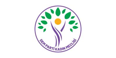 DEM Parti Eş Genel Başkanı Tülay Hatimoğulları:Top artık iktidarın sahasındadır