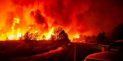 Siyonist İsrail'deki Yangınlarda Yaklaşık 12 Bin Dönüm Alan Etkilendi