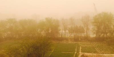 İran’da kum fırtınası 802 kişiyi hastanelik etti