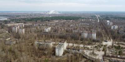 Çernobil tarım arazileri nükleer felaketten onlarca yıl sonra tarıma elverişli bulundu