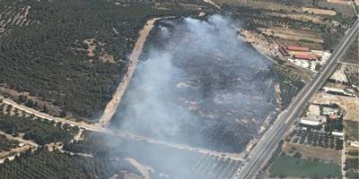 İzmir'de orman yangını: Havadan ve karadan müdahale ediliyor