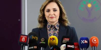 Doğan: Silahların bırakılmasının asıl muhatabı, silahı elinde bulunduranlardır