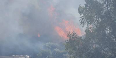 Orman yangınlarında 17 gözaltı