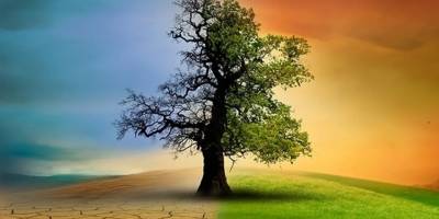 14 soruda İklim Kanunu nedir?