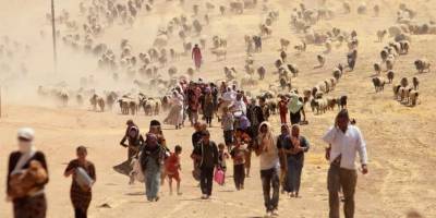 IŞİD’in Ezidi Kürtlere yönelik soykırımı 11. Yılında: Hâlâ 3 bin kişi kayıp, binlerce aile mülteci hayatı yaşıyor