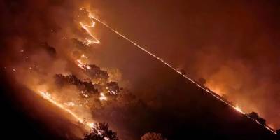 Halepçe’deki orman yangınında iki kişi hayatını kaybetti