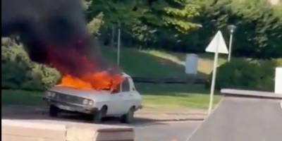 Tekrar Beyaz Toroslara dair