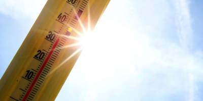 Avrupa'da iklim değişikliği bu yaz sıcaklığa bağlı ölüm sayısını 16 bin 500 artırdı