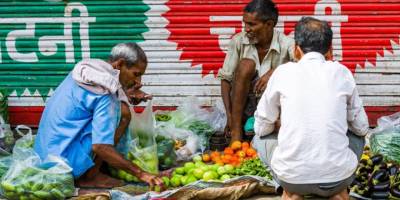 Yapay Zeka ve Bilginin Çöküşü