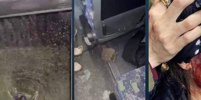 Bodrum'da Amedspor taraftarlarına saldırı: TFF ve İçişleri Bakanlığına tedbir çağrısı