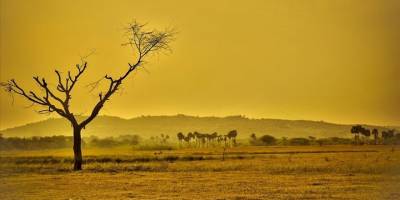 Küresel ısınma hızlanıyor: 2025, kayıtlardaki en sıcak 3 yıldan biri oldu