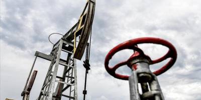 Hindistan 7 yıl sonra İran'dan petrol aldı