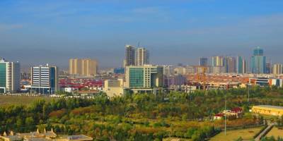 Erbil’de 'yeşil kuşak' hamlesi: 500 bin zeytin dikildi, sırada fıstık var!