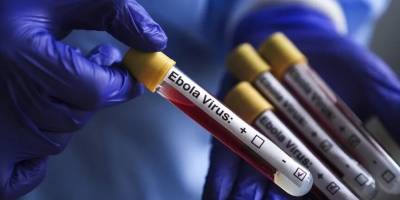 Ebola salgını büyüyor: Virüs mutasyona uğramış olabilir