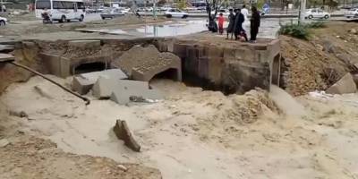 Selin vurduğu İran'da timsah alarmı